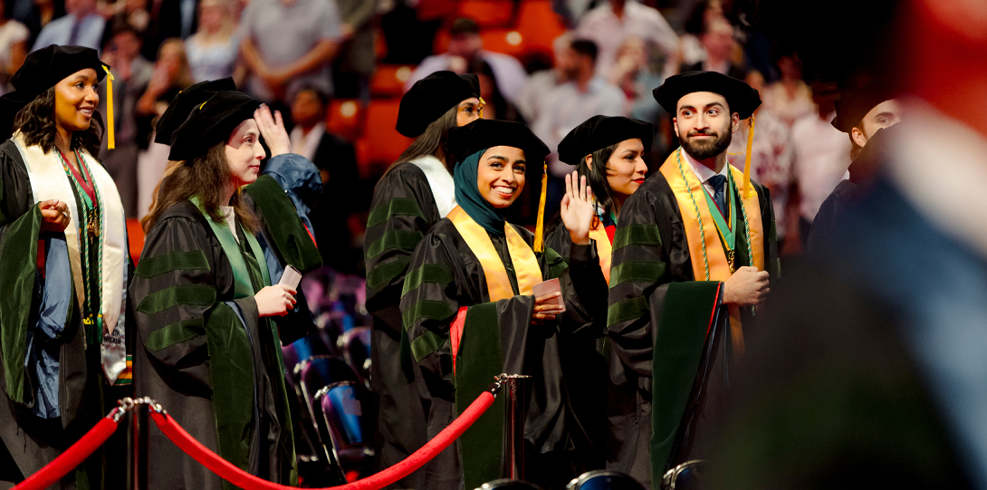 UIC graduates in cap and gown