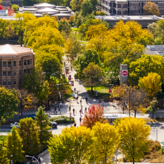 Campus scene